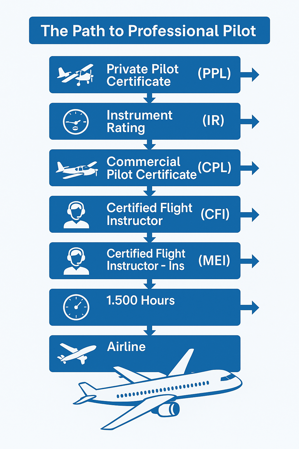 way to be a professional pilot